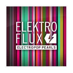 Flux FM Elektro Logo