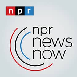 NPR Logo