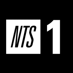 NTS 1 Logo