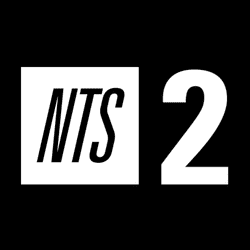 NTS 2 Logo