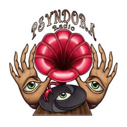 Psyndora Chill Logo